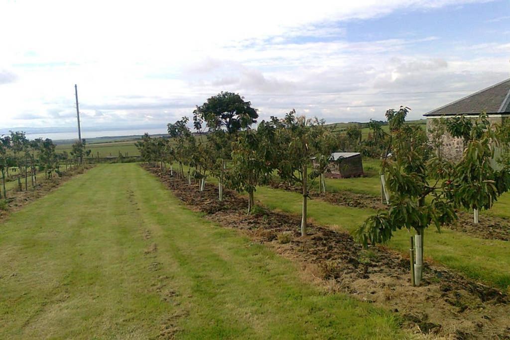Knightsward Farm Near St Andrews, Scotland Villa Anstruther Dış mekan fotoğraf